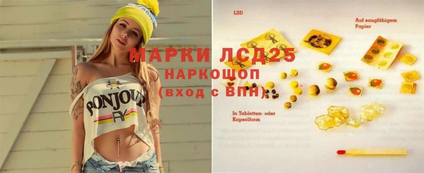ПСИЛОЦИБИНОВЫЕ ГРИБЫ Бронницы
