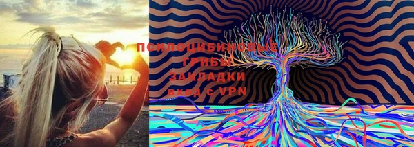 альфа пвп Бугульма