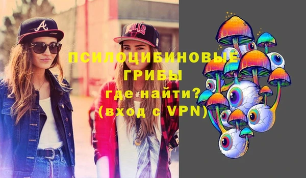 ПСИЛОЦИБИНОВЫЕ ГРИБЫ Бронницы