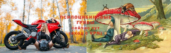 ПСИЛОЦИБИНОВЫЕ ГРИБЫ Бронницы