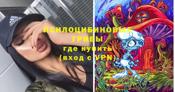 круглые Бородино