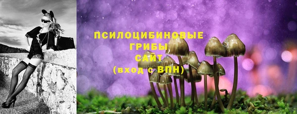 ПСИЛОЦИБИНОВЫЕ ГРИБЫ Бронницы