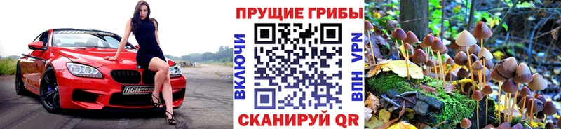 Галлюциногенные грибы Psilocybine cubensis  Кинешма 
